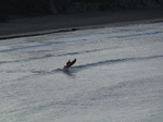 SX24730 Lifeboat jumping from in surf.jpg
